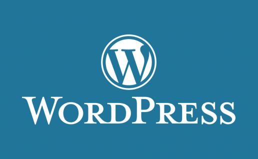 分享几个优化 WordPress 访问速度的实用技巧