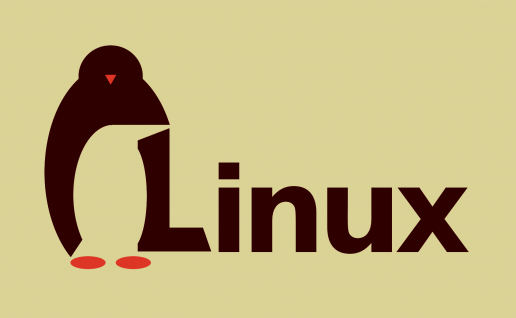 彻底解决 Linux 系统下 systemd-resolve 占用 53 端口的问题
